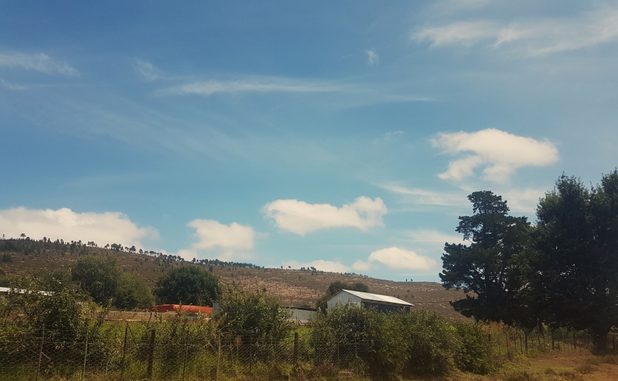 Commercial Property for Sale in Haarlem Western Cape